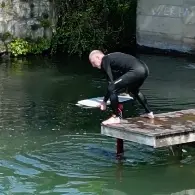 Dockstart 2 